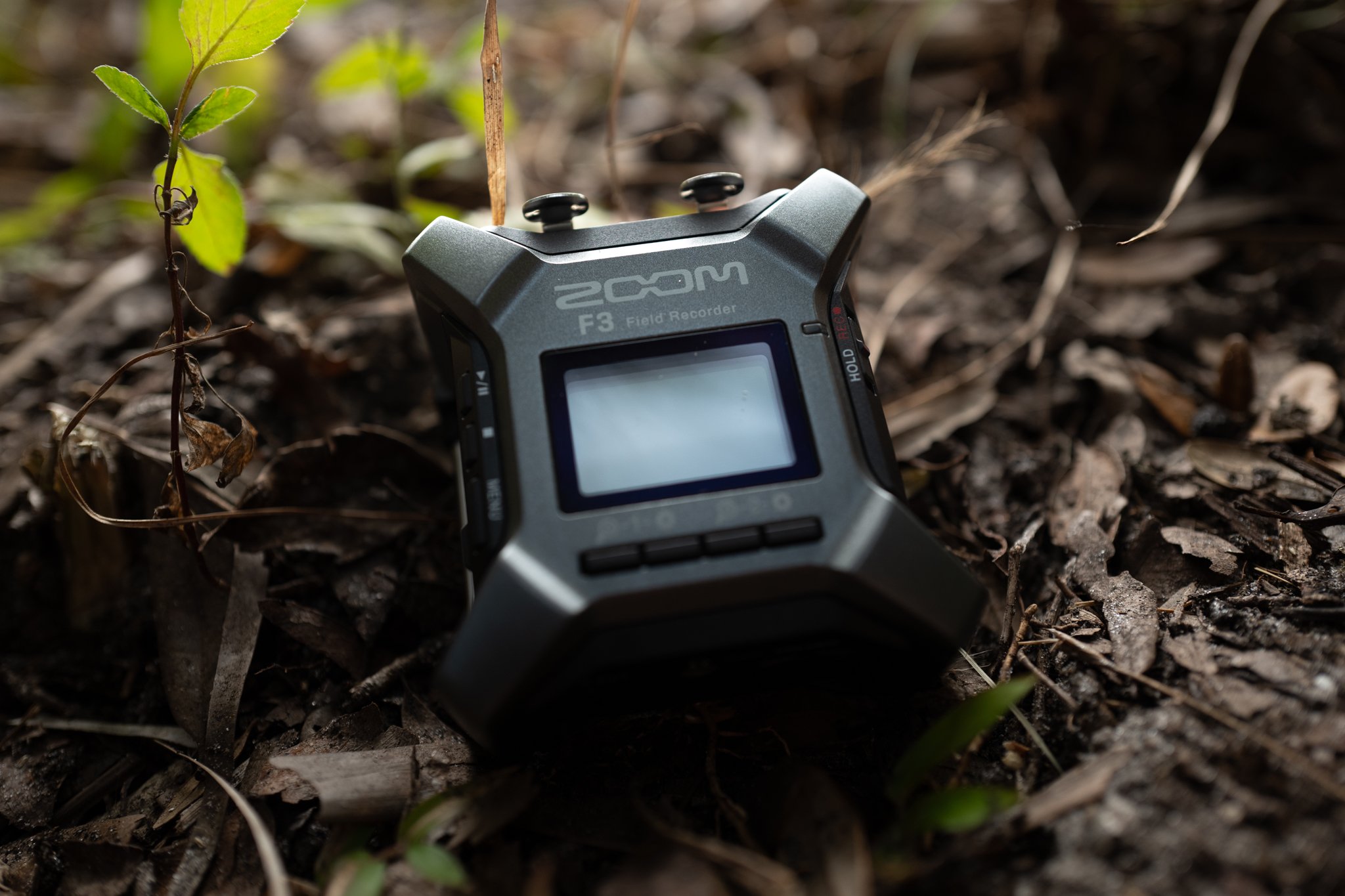 Zoom F3 Field Recorder Review — Blackguard Sound